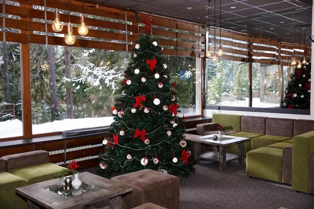 Фото Bor Borovec 3*