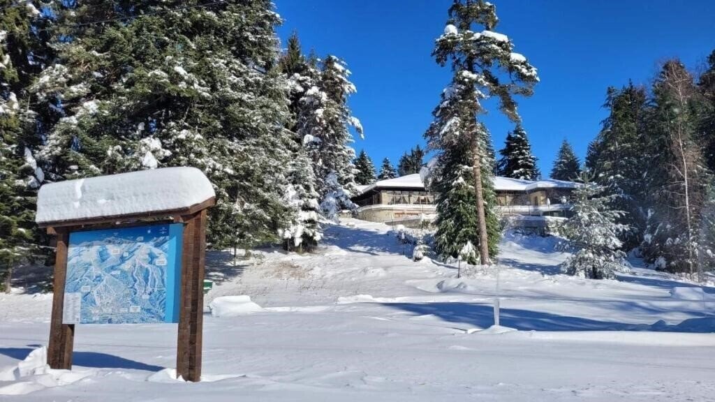 Картинка Bor Borovec 3*