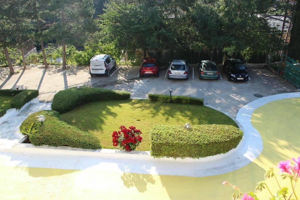 Картинка Zora 3*