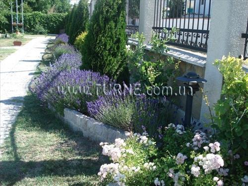 Фотографія Villa Amfora вилла