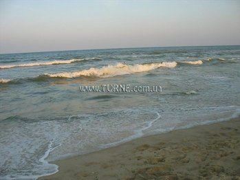 Картинка Bambuk 2*