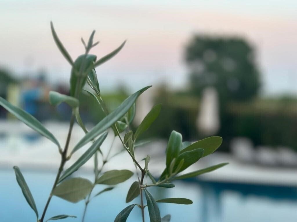 Картинка Aquamarine Hotel Kranevo (ex. Aquamarin Krn, Aquamarine Kranevo) 4*