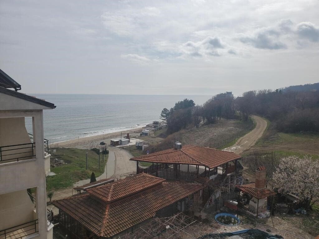 Фотография Coral 3*