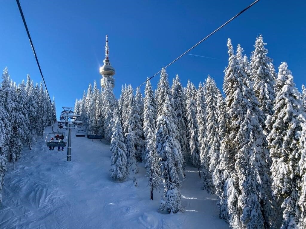 Изображение Orphey Pamporovo 4*