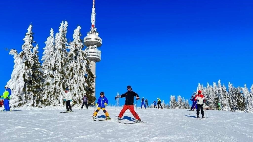 Картинка Orphey Pamporovo 4*
