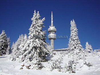 Фото SPA Hotel Devin 4*