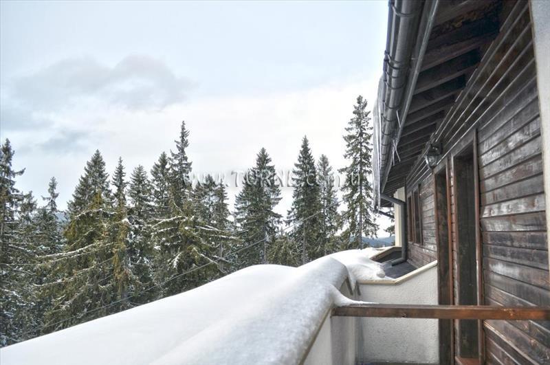 Картинка Евредика 3*