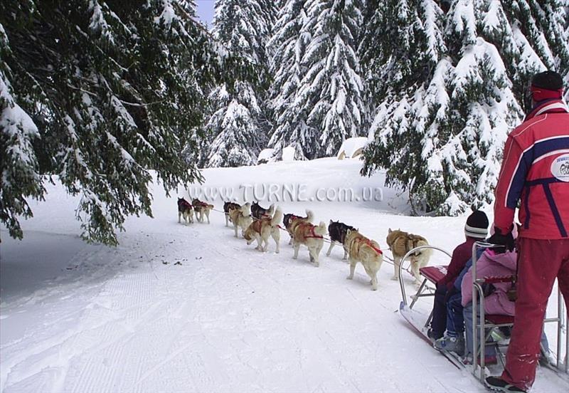 Фото Евредика 3*