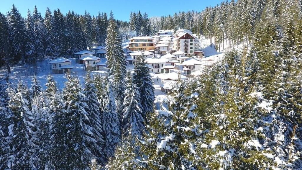 Фото Forest Glade 3*