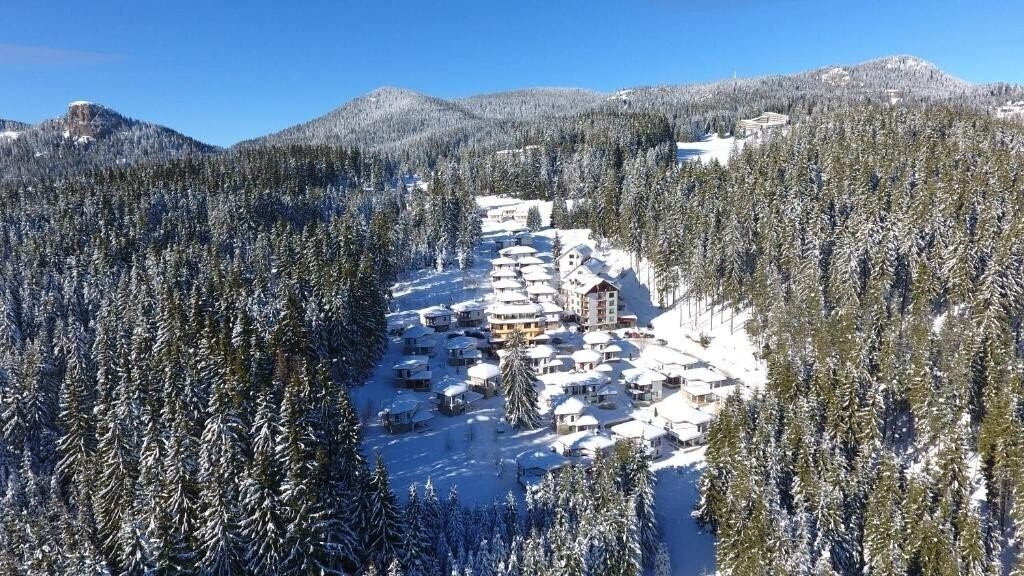 Картинка Forest Glade 3*