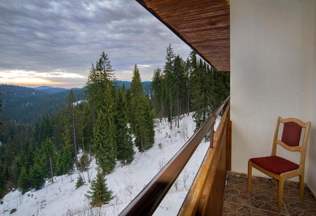 Фотографія Kamena (Pamporovo) 3*