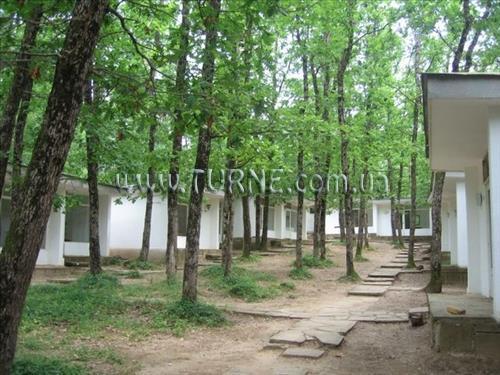 Картинка Villa Kedar вилла