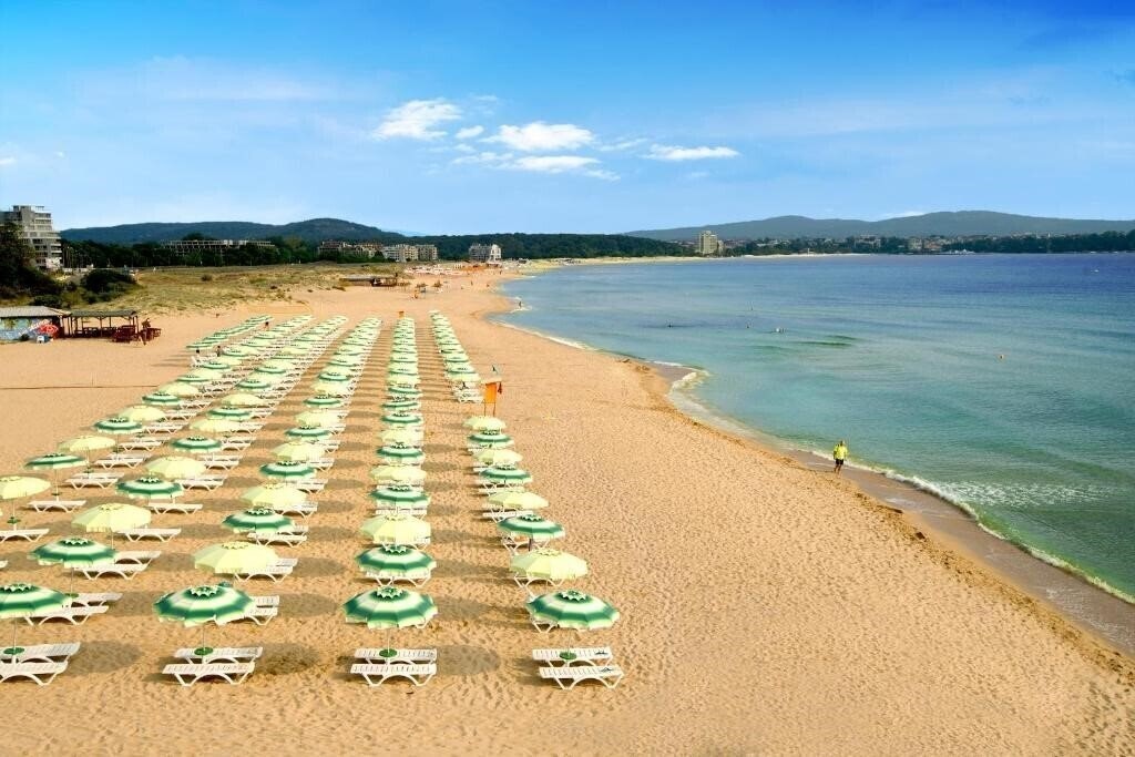 Картинка Forest Beach 4*