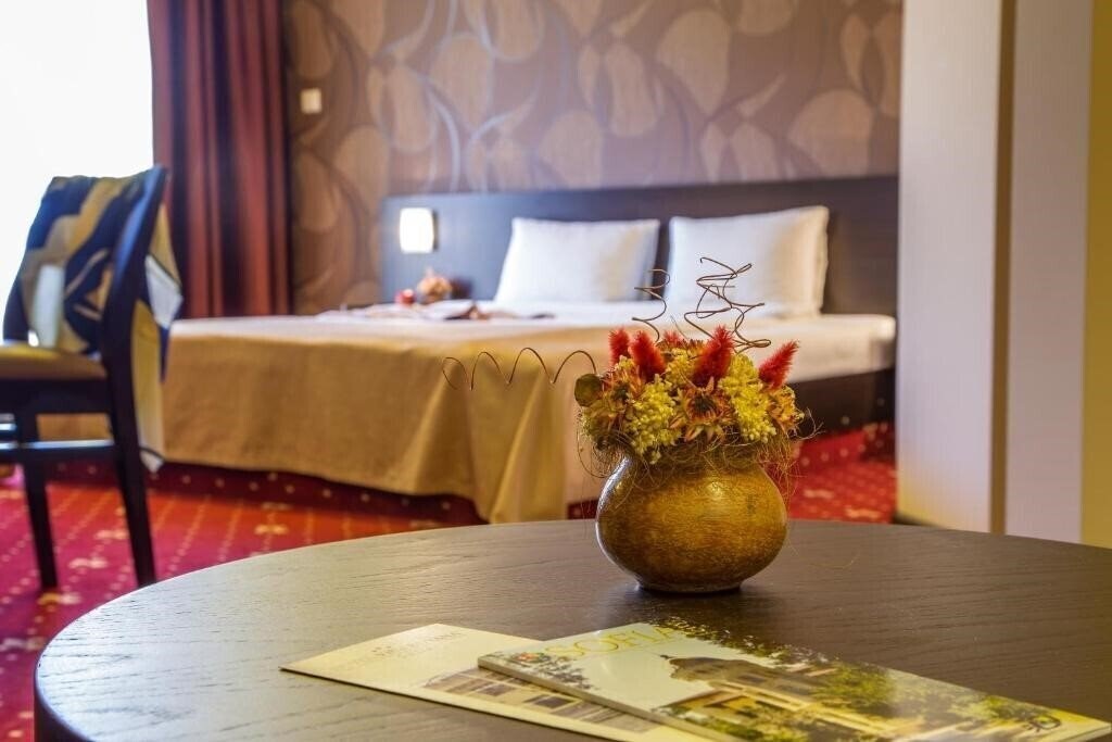 Картинка Hotel Villa Boyana 3*