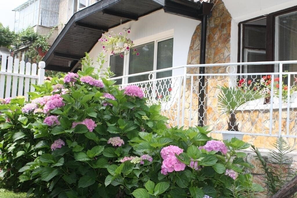 Готель Andro Apartments 2*