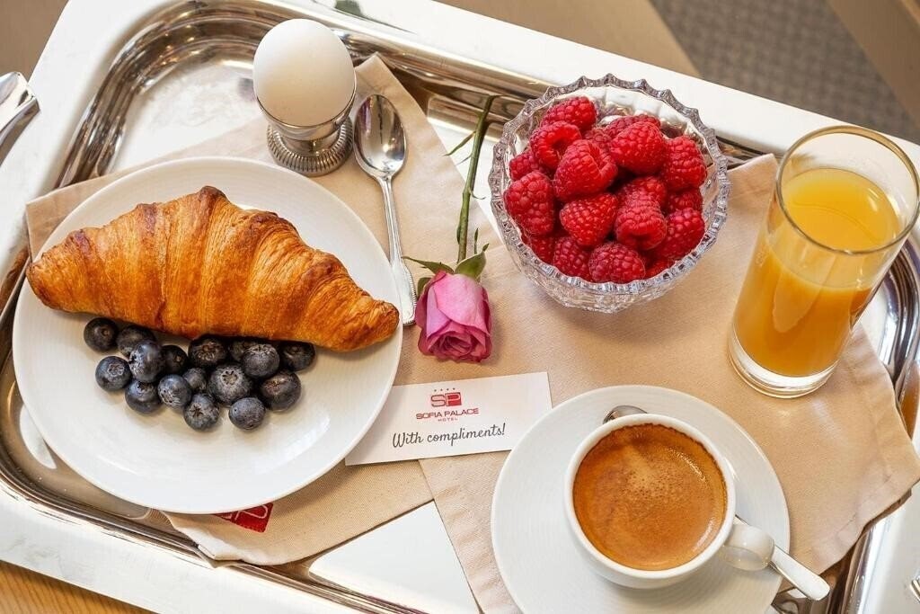 Изображение Sofia Palace Hotel 3*