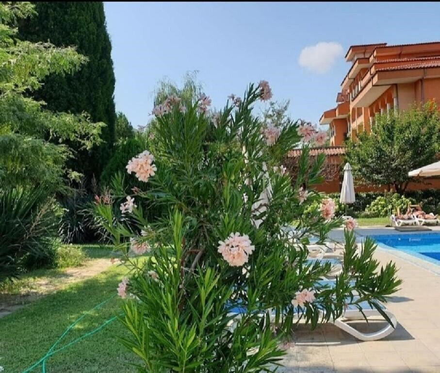 Картинка Magnolia Sunny Beach 2*