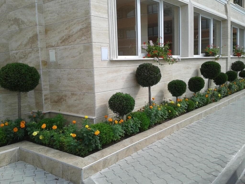 Фотографія Aparthotel Seasons 3*