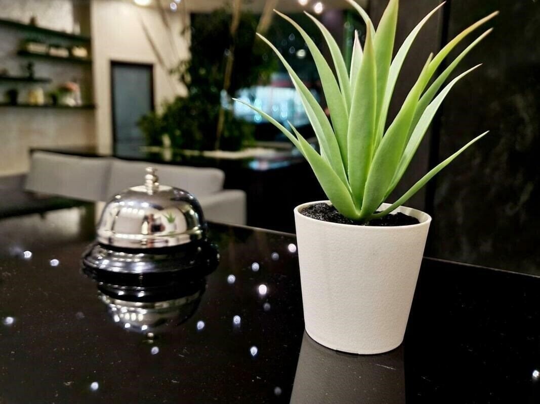 Фотографія Juli 3*