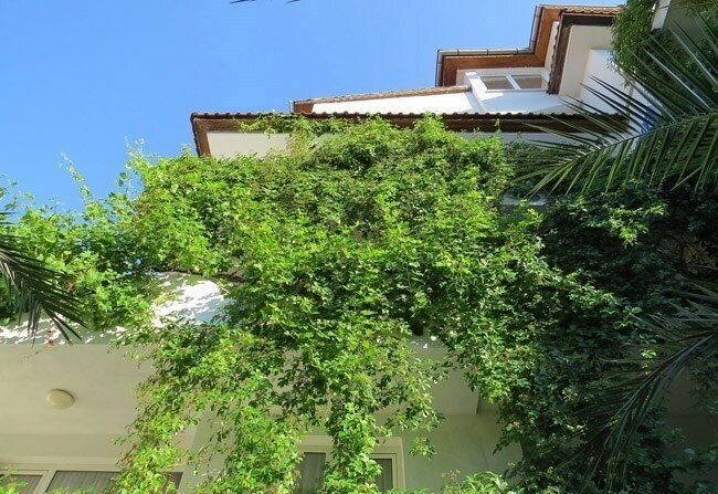 Фотографія Sofi Family Hotel 3*