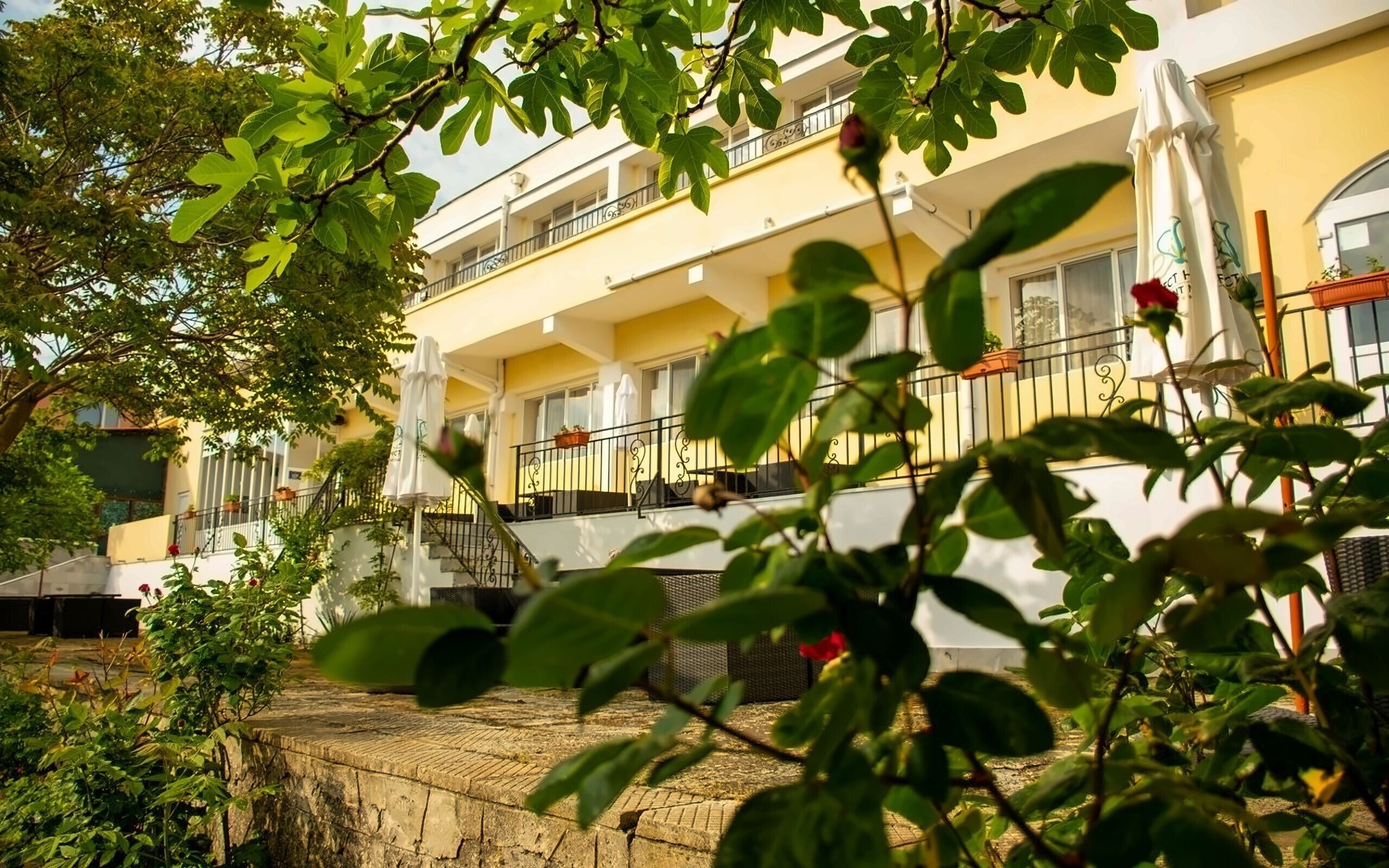 Отель Saint Mina 2*