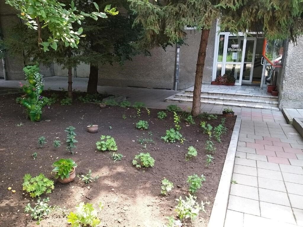 Фото Rositsa 3*
