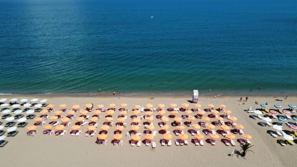 Отель Palm Beach 4*