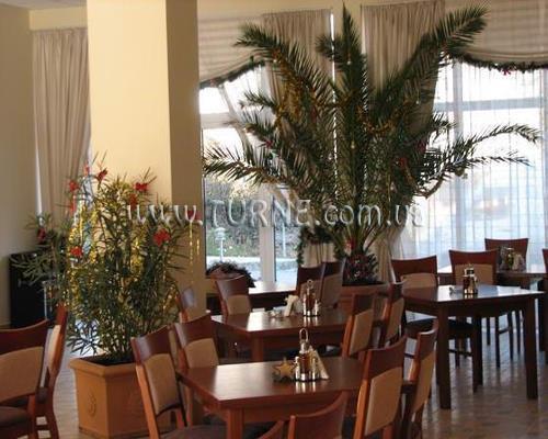 Фотография Джоя Парк 3*