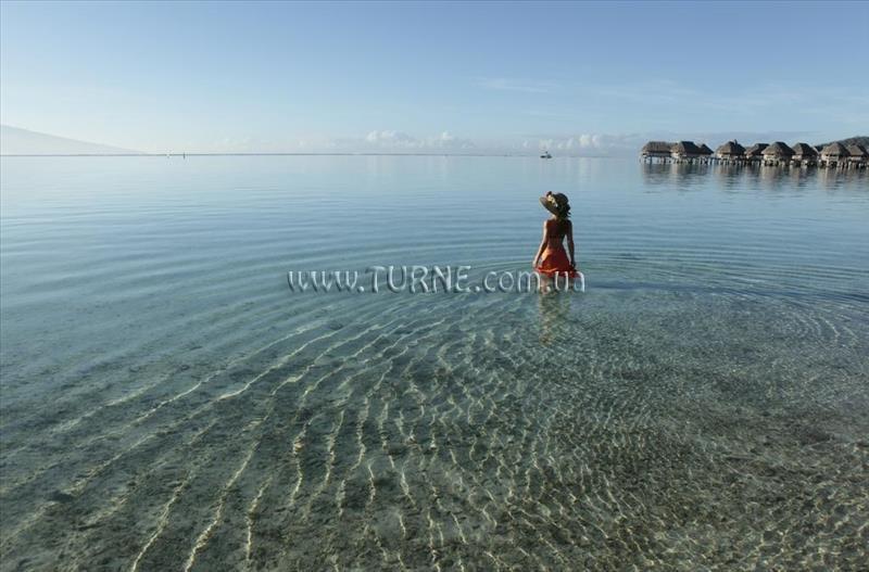 Зображення Sofitel Moorea la Ora Beach Resort 4*