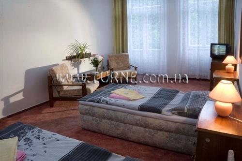 Отель Luisa Fr.Lazne 3*