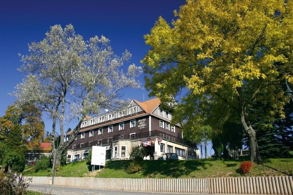 Отель Hotel Bily Horec 3*