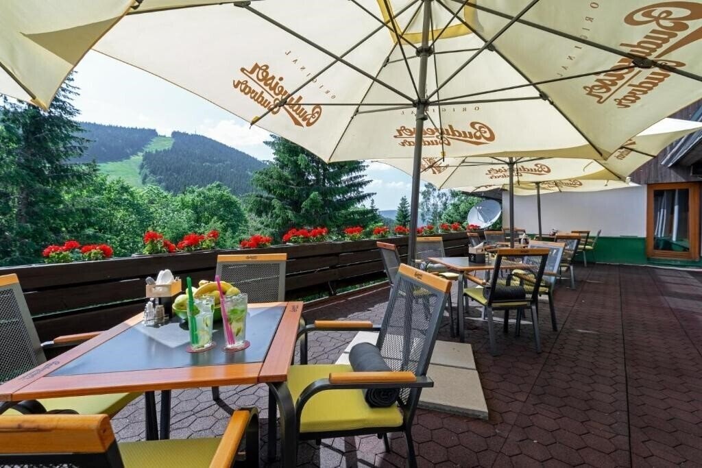 Отель Parkhotel Harrachov 3*