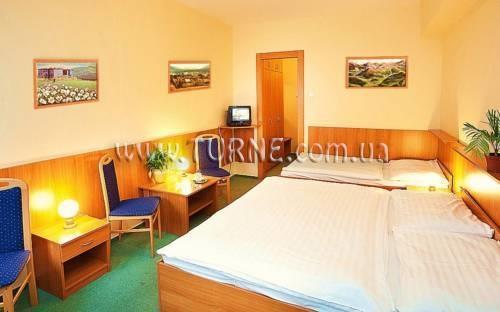 Отель Parkhotel Harrachov 3*