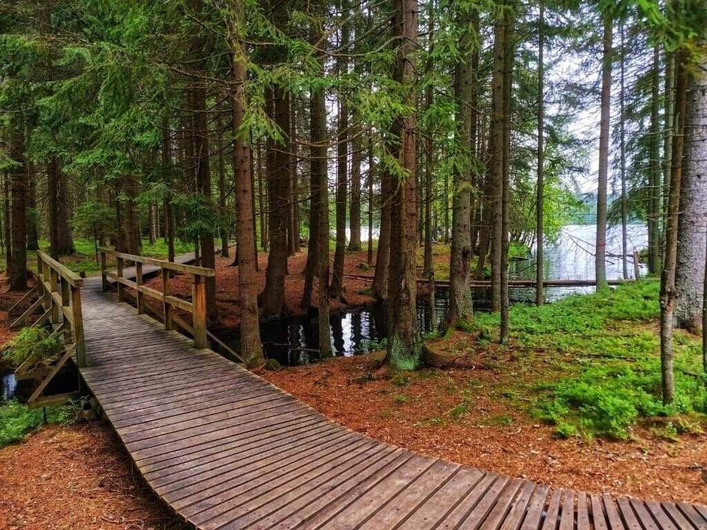 Картинка Orea Hotel Anglicky Dvur 4*