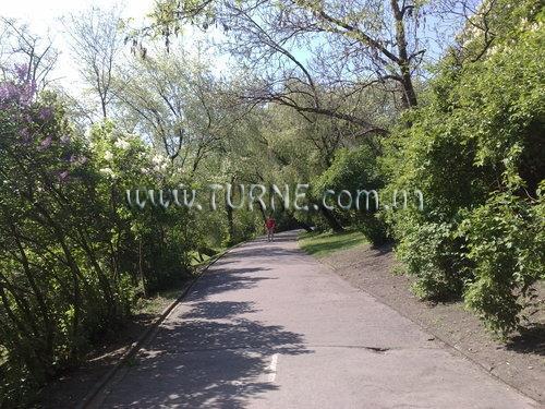 Картинка U Tri Korunek 3*