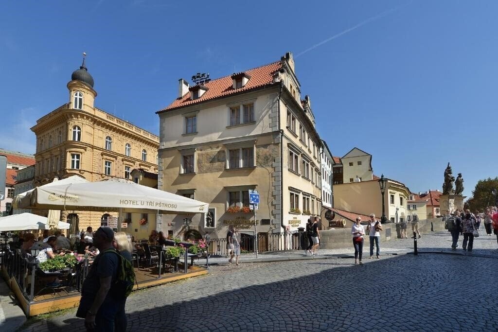 Отель Hotel U Tri Pstrosu 4*