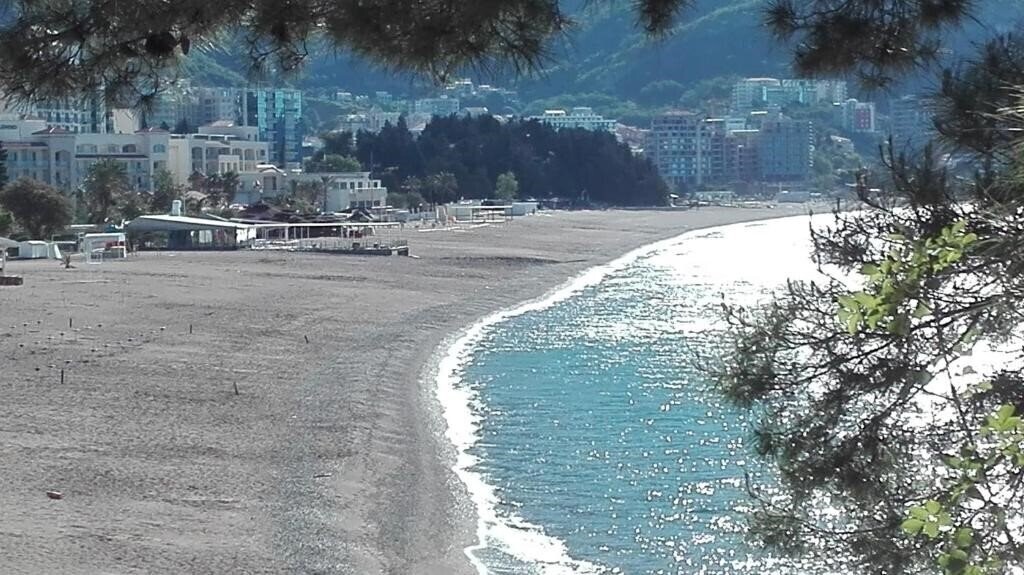 Зображення Petrovic App 3*