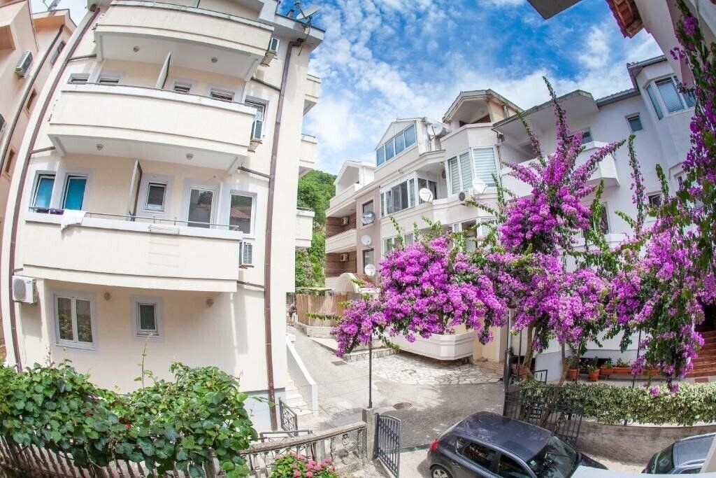 Картинка Guest House Violet 3*