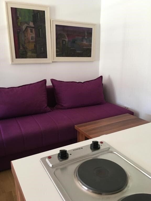Зображення Guesthouse Villa Gaga 3*
