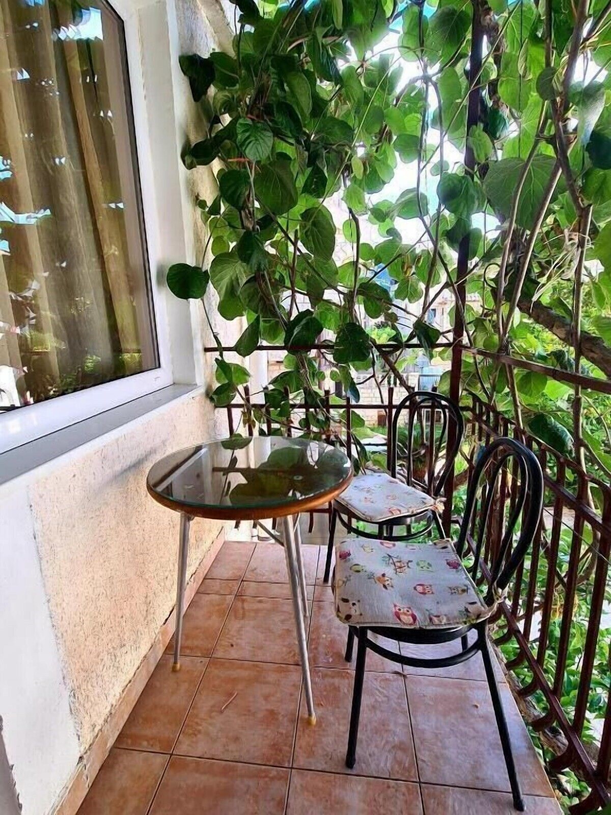 Отель Olive Garden Apartments Petrovic 3*