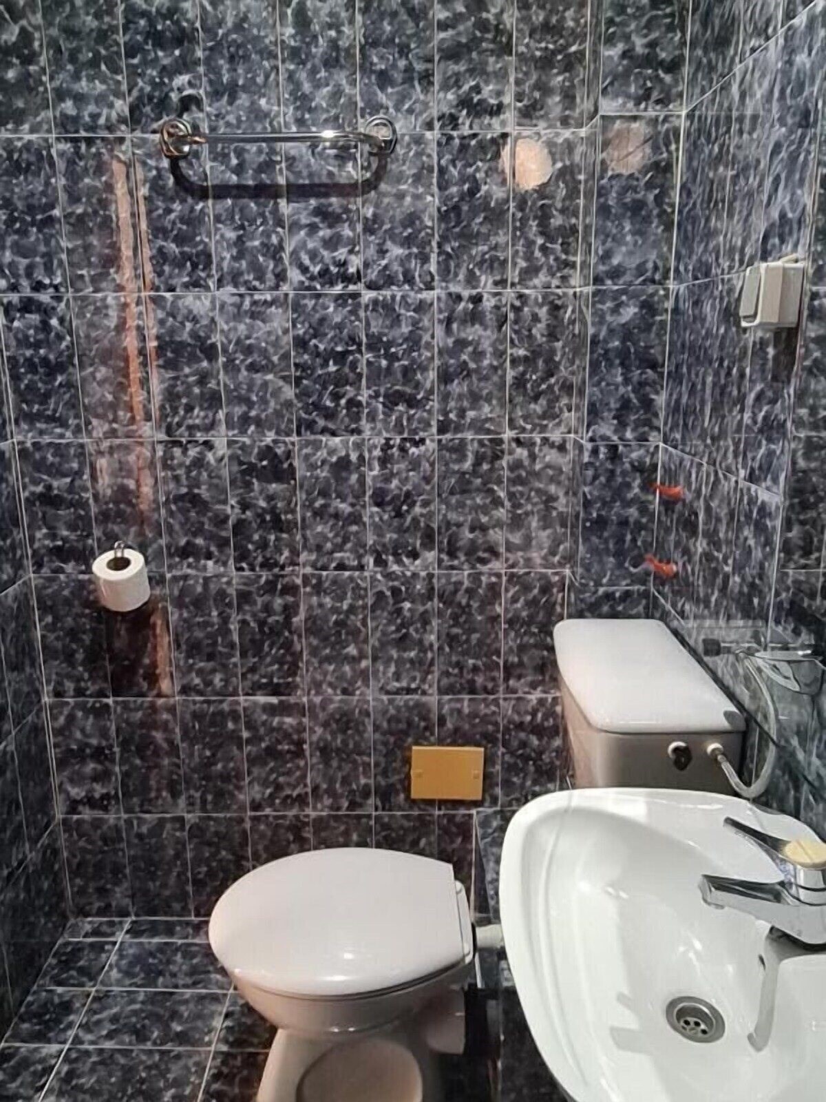 Фото Olive Garden Apartments Petrovic 3*