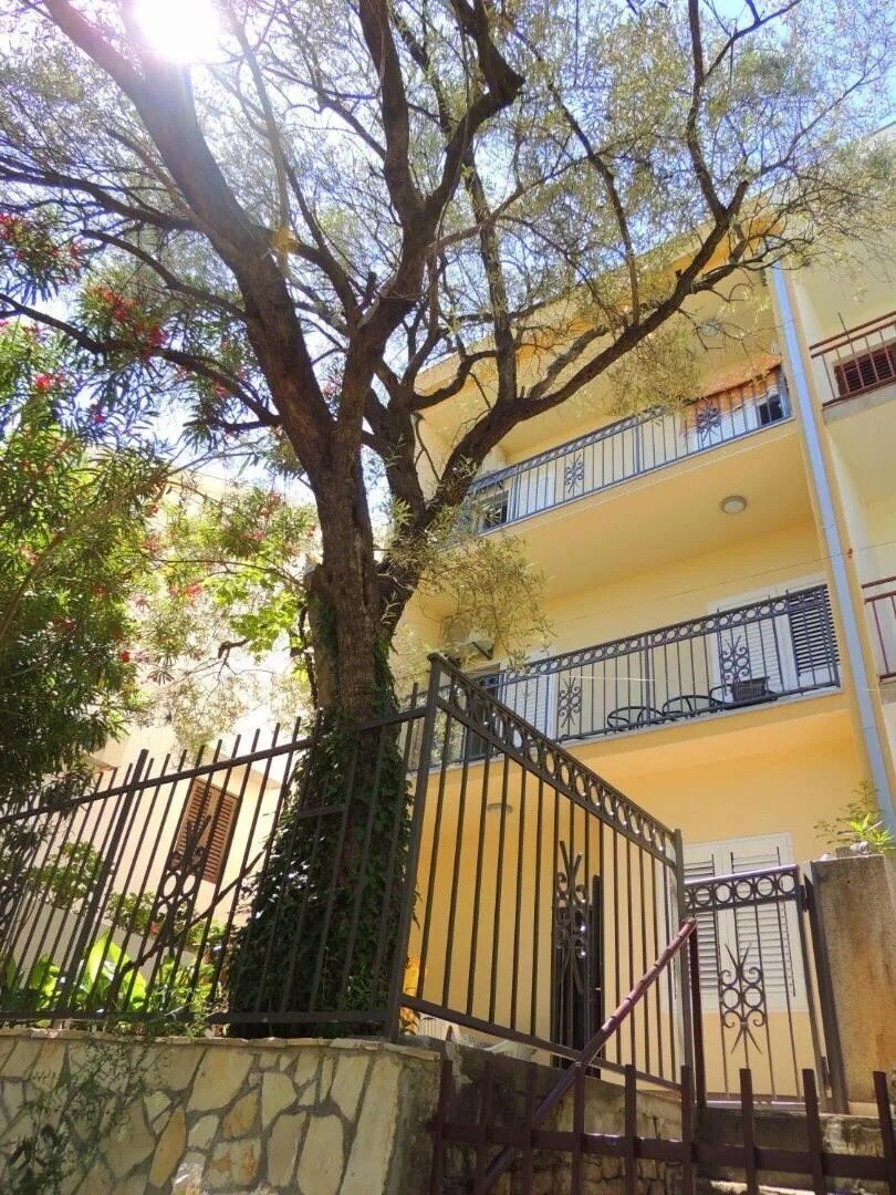 Отель Vila Jelena 3*