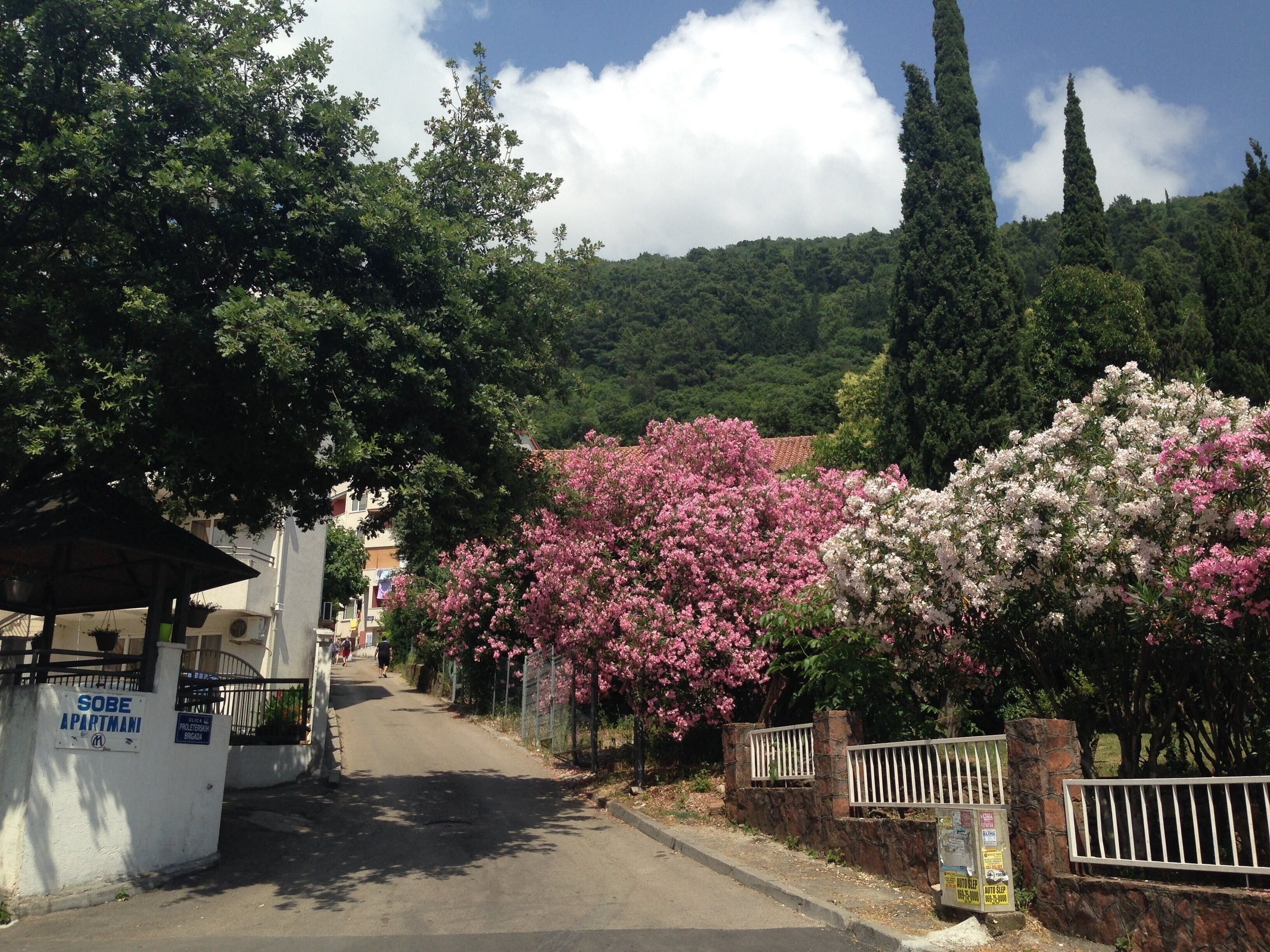 Изображение Villa Mare Budva 3*