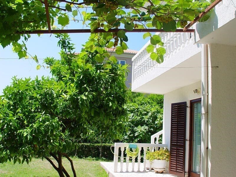 Фотографія House Irene 3*