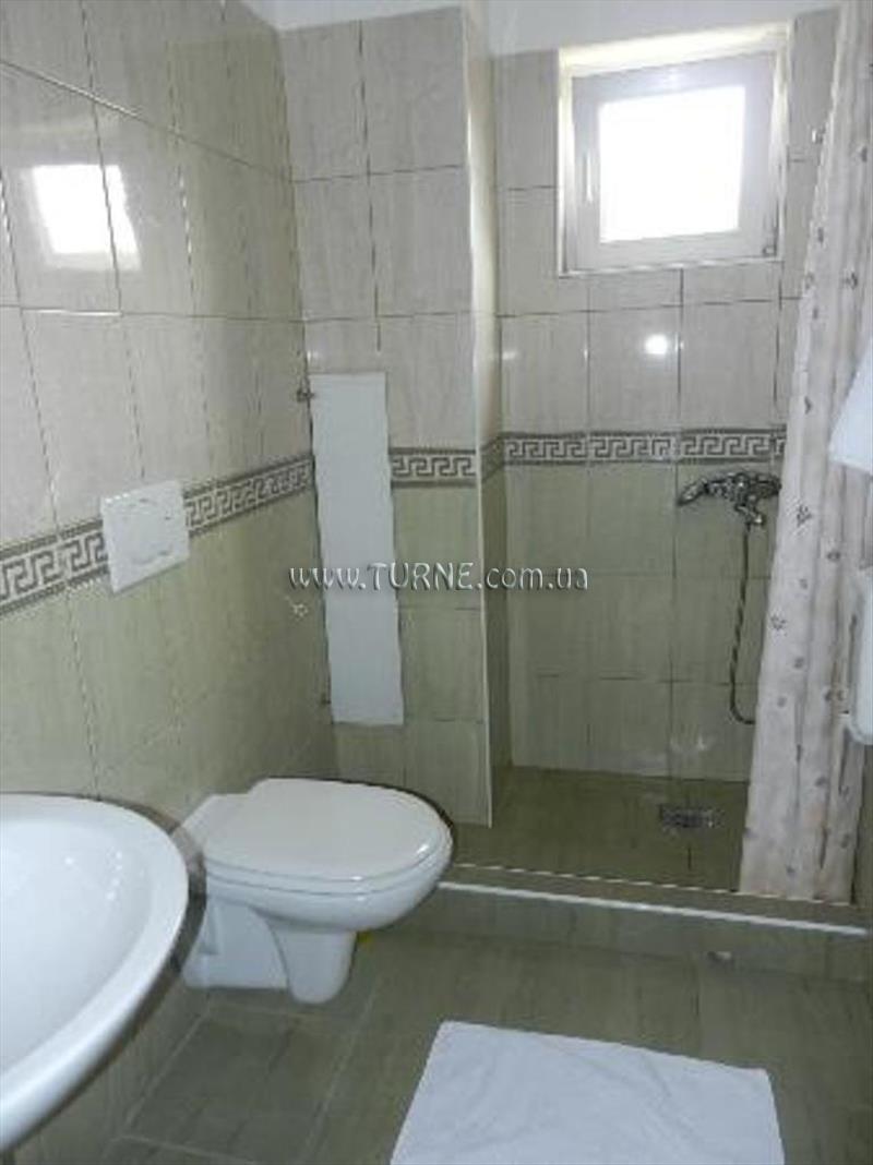 Картинка Kangaroo 3*