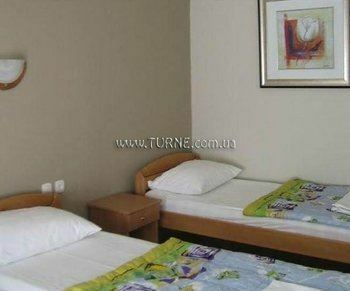 Фотографія Kangaroo 3*