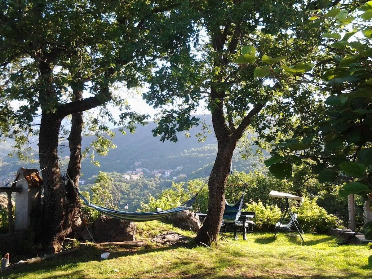 Фотографія Hrabri Vuk 3*