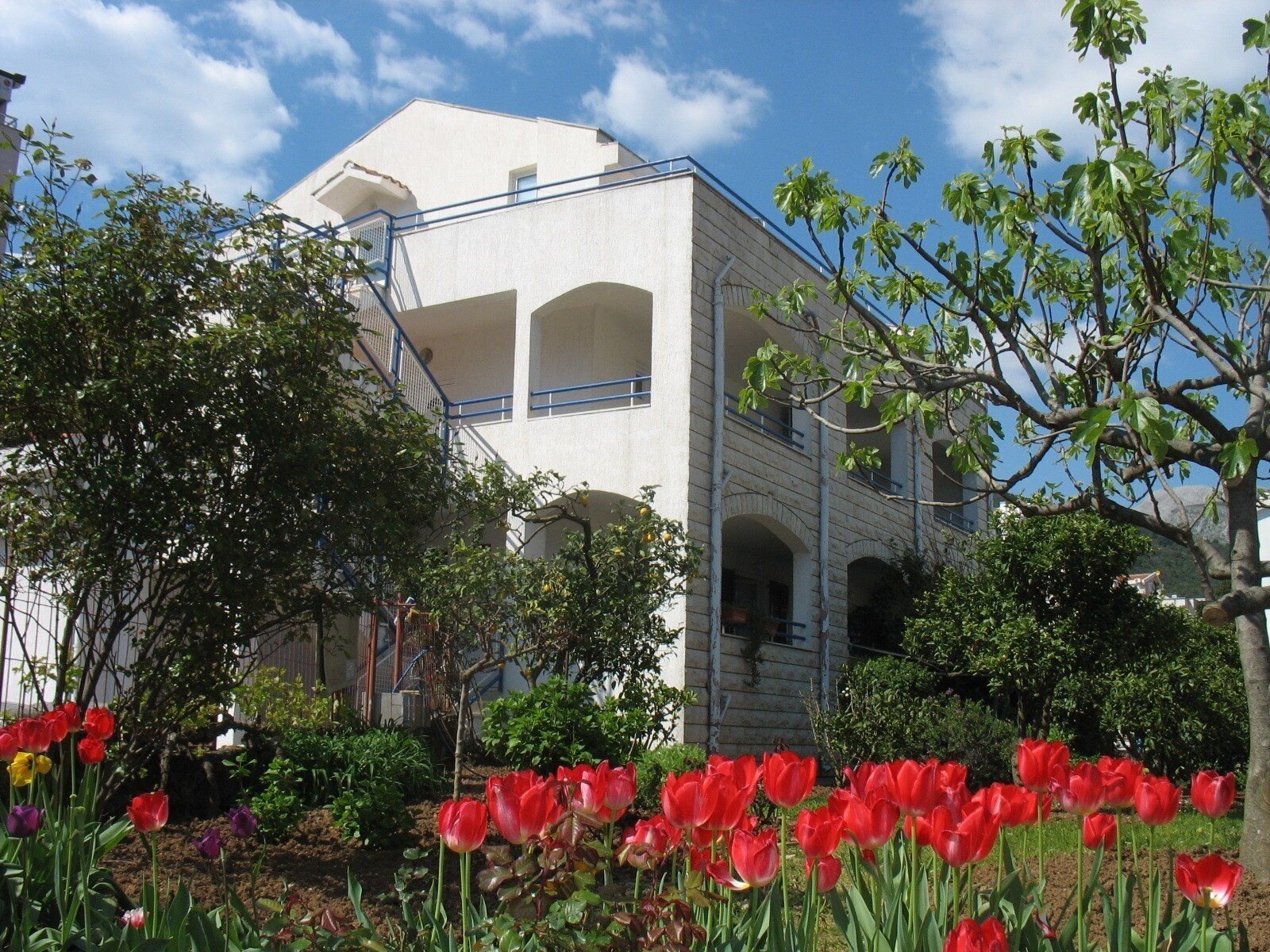 Фотографія Markovic Gornii 3*