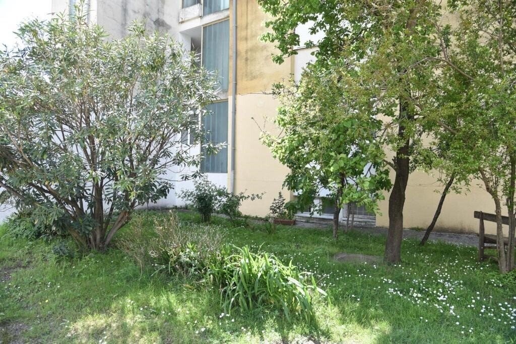 Картинка D&D Apartments Budva - 1 4*
