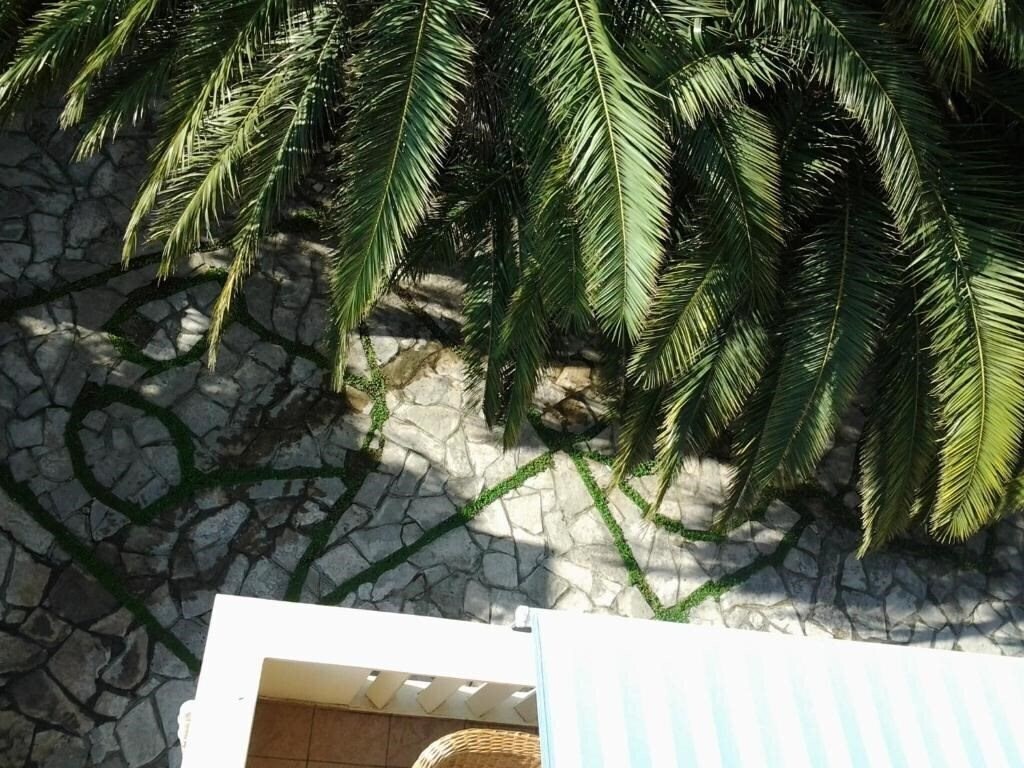 Картинка Apartments Adriatico 3*